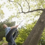 Climb, Swing, Snuggle: Reading Readiness Involves the Whole Body