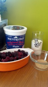 Smoothy/Yogurt Snack/ Popsicle